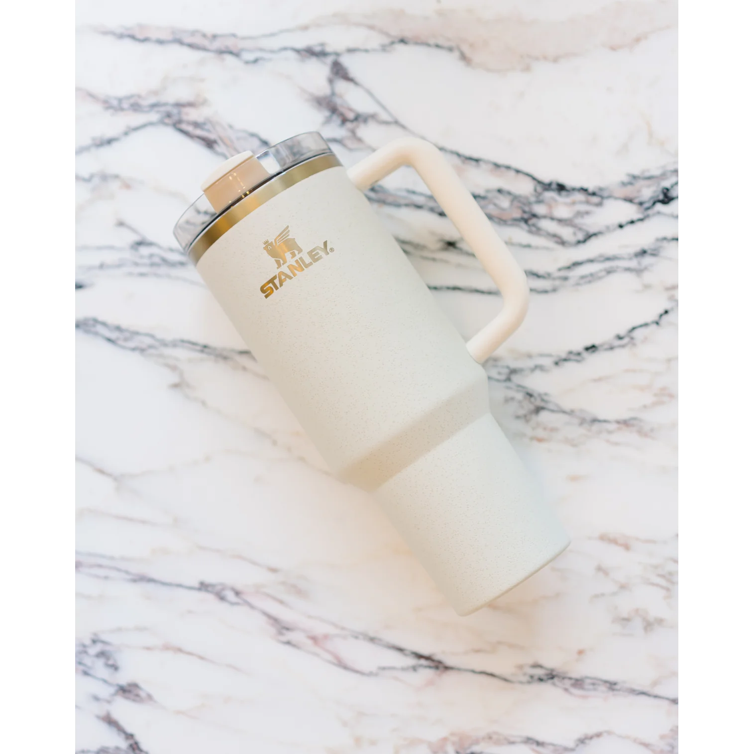 Stanley Tumbler Fall - 40 Oz